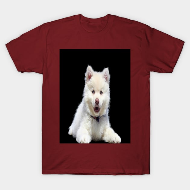 White dog T-Shirt by KA&KO